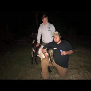 Meet your Posher, Conner